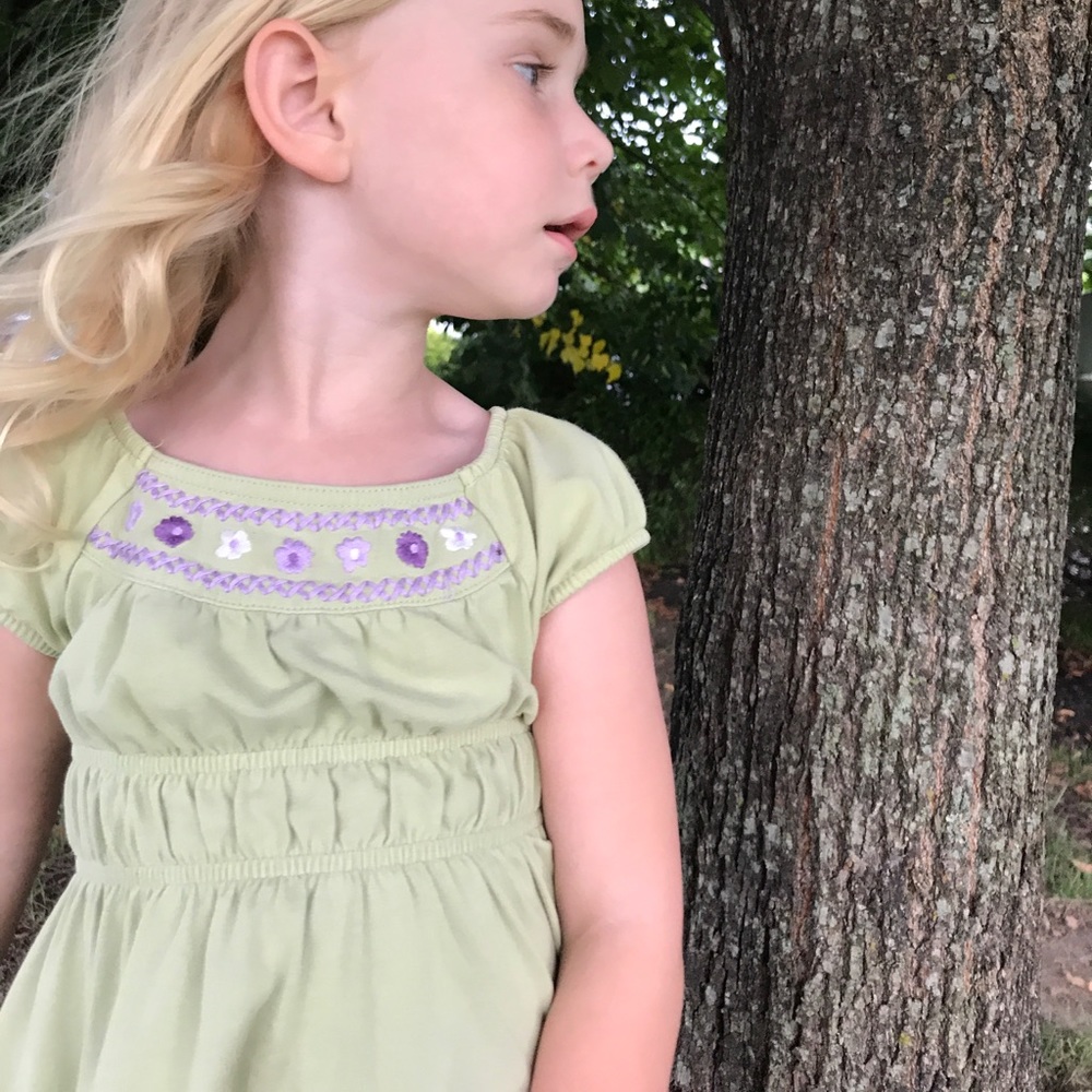Girls size 3 Gymboree pale green dress with lavender embroidery